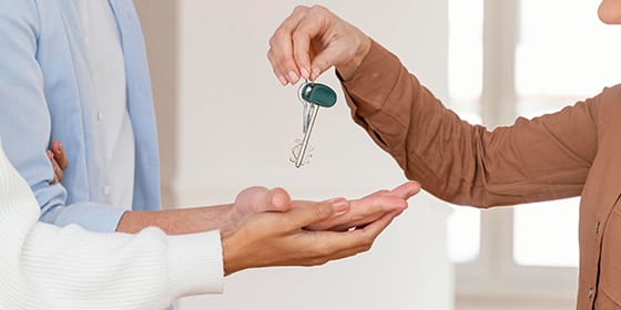 Interior Designers in Palakkad: Elevate Your Space with Design Expertise